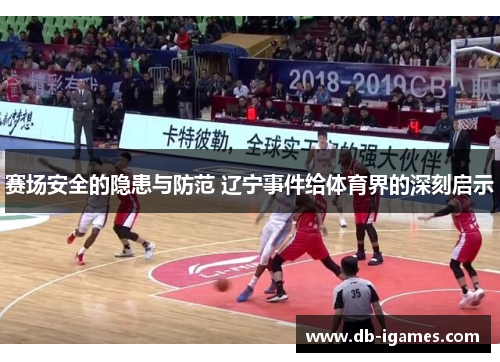 赛场安全的隐患与防范 辽宁事件给体育界的深刻启示