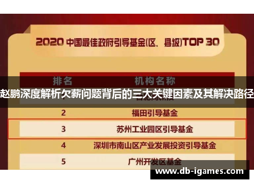 赵鹏深度解析欠薪问题背后的三大关键因素及其解决路径